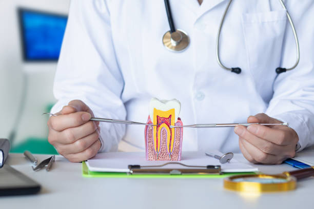 Best Emergency Dentist for Knocked-Out Tooth in Greenville, OH
